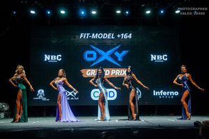 FIT-MODEL + 164 раунд 2